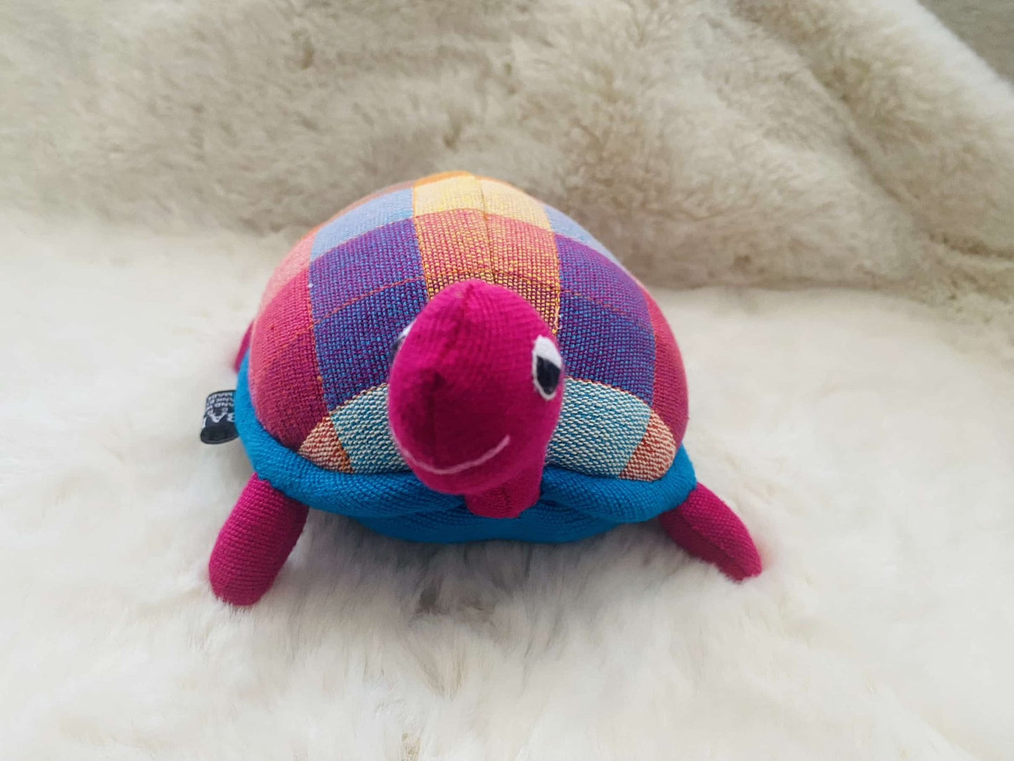 Schildkröte bunt Tulipas Berlin