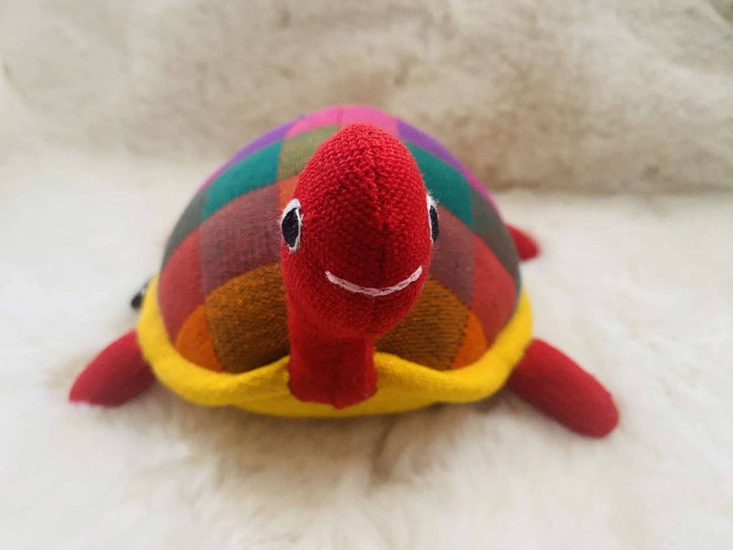 Schildkröte bunt Tulipas Berlin