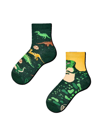 Dinosaurier Socken many mornings many mornings