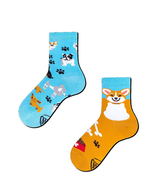 Hund playful Dog Socken many mornings many mornings